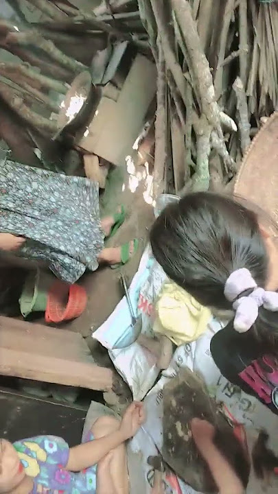 meprek cangkang tangkil