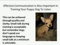 How To Train Your Puppy Dog To Listen How To Train Your Puppy Dog To Listen