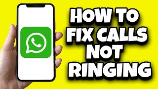 How To Solve WhatsApp Call Not Ringing When iPhone Is Locked (Easy)