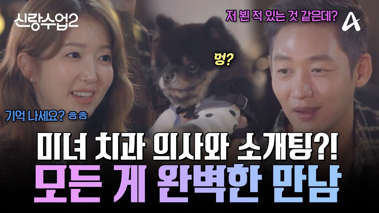 [#신랑수업2] 😍미녀 치과 의사와 만남 성사?! 이태성 & 반려견과 함께하는 이색 소개팅 대공개♥️ | 신랑수업2 29회