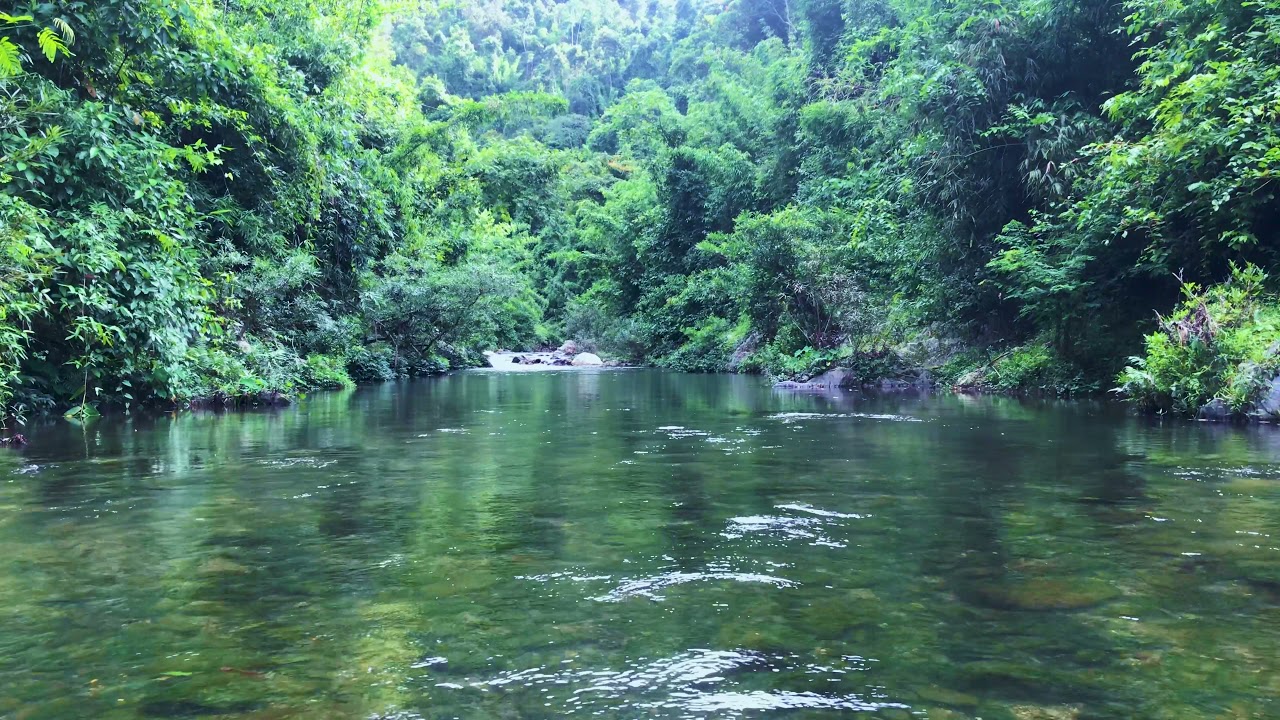 ήχος ποταμού,Χαλαρωτική Ακούγεται ε ήχους από τη φύση (νερό, ποτάμι, πουλιά) - διαλογισμός, χαλάρωση