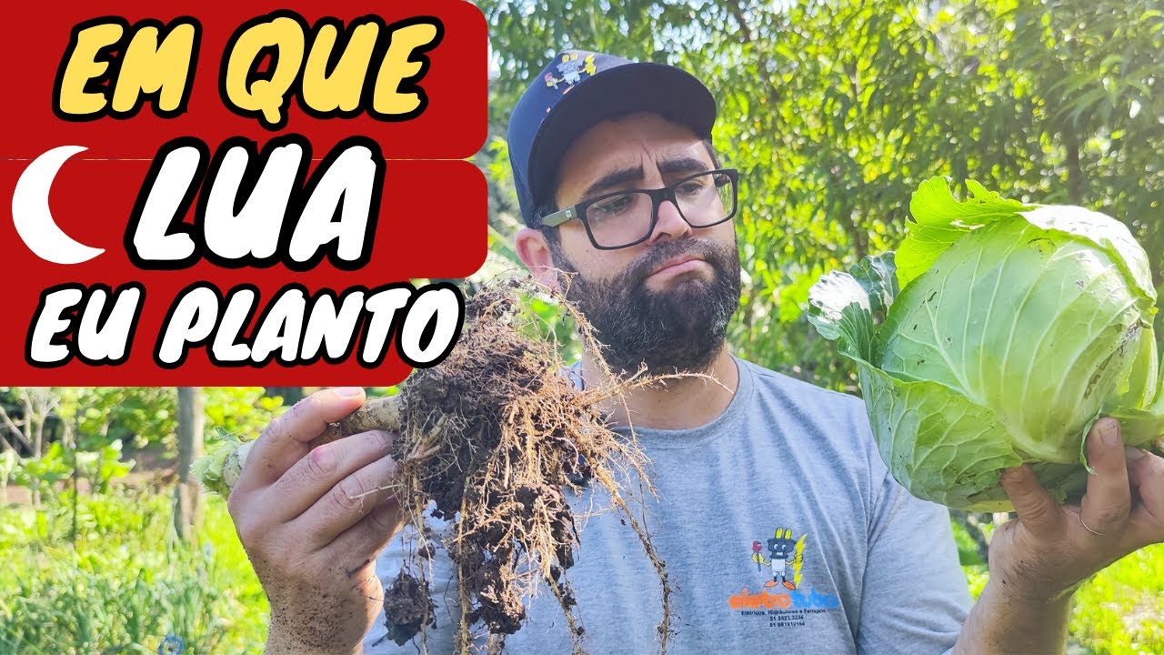Plantando de acordo com a LUA (GUIA COMPLETO)