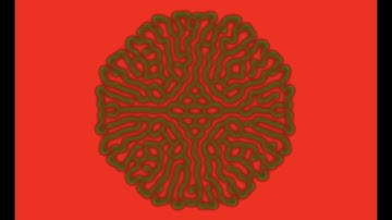 Reaction Diffusion (openframeworks)