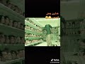 في الغربه ذقنا التعب الكوماني