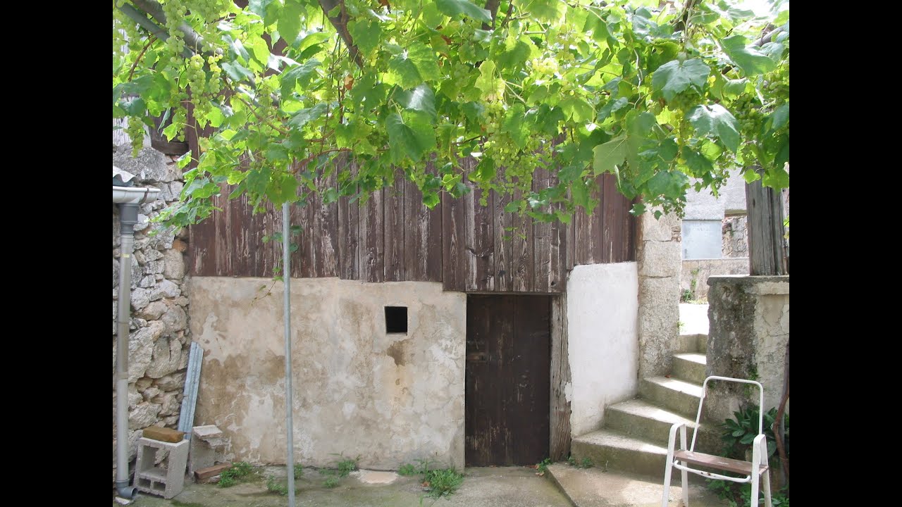 Dieter Frank-SCHAU DIR DEN MOND AN-