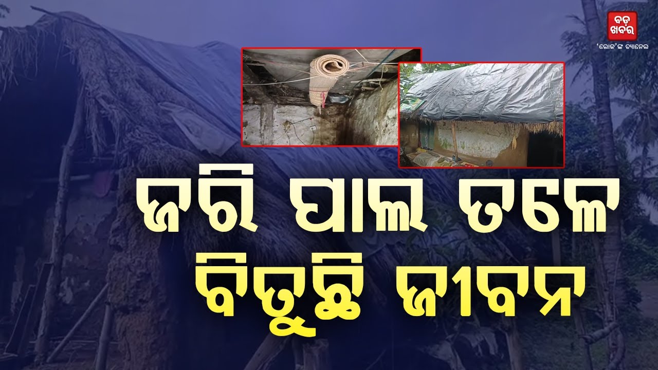 ଜରି ପାଲ ତଳେ ବିତୁଛି ଜୀବନ |