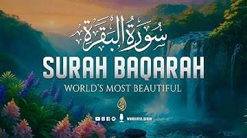 Surah Al-Baqarah Full (سورة البقره) | Majestic Calming Voice Will Touch Your Heart & Soul | WQ