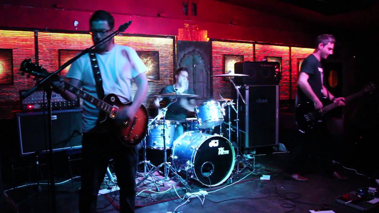 @ We Are Lizards The Cortege Homo Empathicus