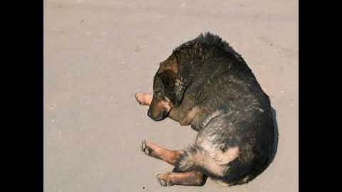 Microbit Project - Bixter