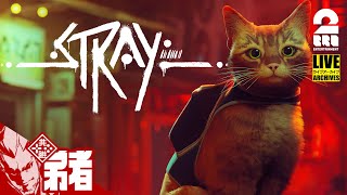 【迷い猫弟者】サイバーパンクな世界で猫になれるの！？弟者の「Stray」【2BRO.】#1 screenshot 2