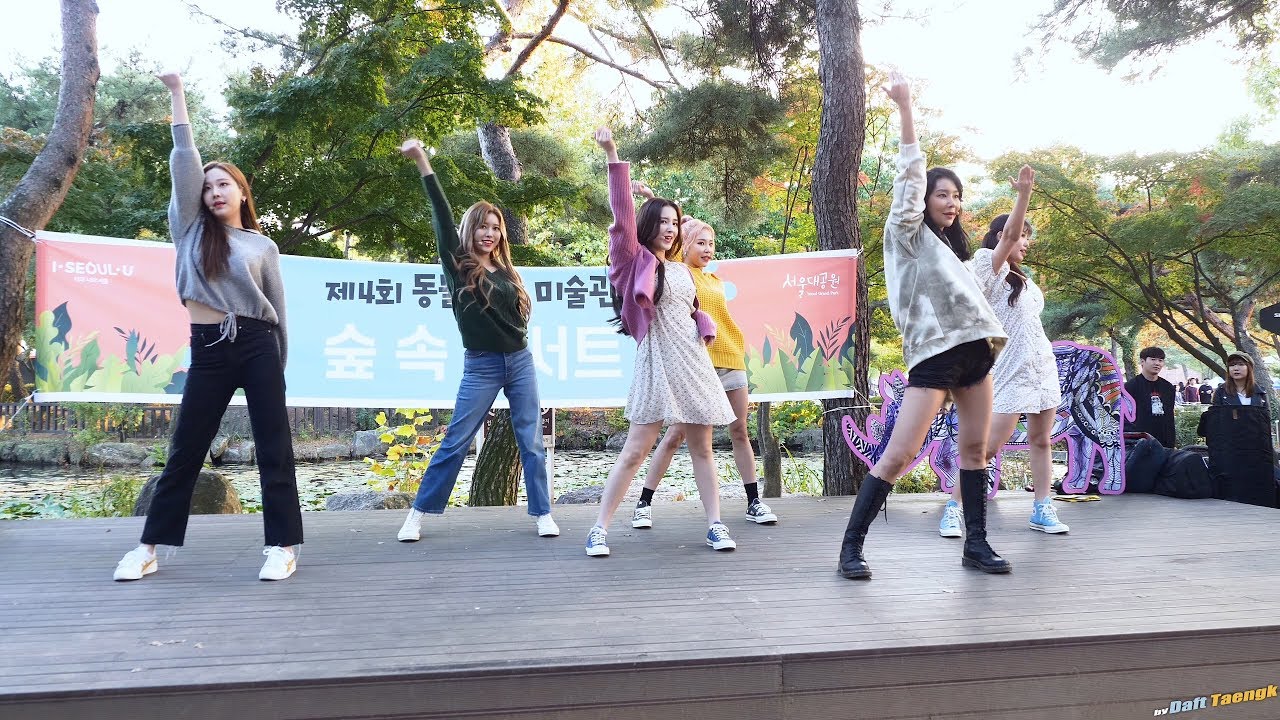 191019 모모랜드 MOMOLAND '뿜뿜 BBoom BBoom' 4K 60P 직캠 @서울대공원동물원 버스킹 by DaftTaengk