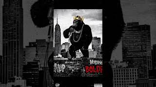 The Shadow of the Forest _ KING of The Road _ hip hop oldschool 92s