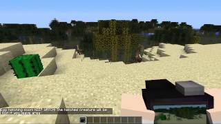 Minecraft | MAGIC CAMERA! (Freeze Time & Take Beautiful Pictures!) | Mod Showcase [1.6.4] TDM screenshot 5