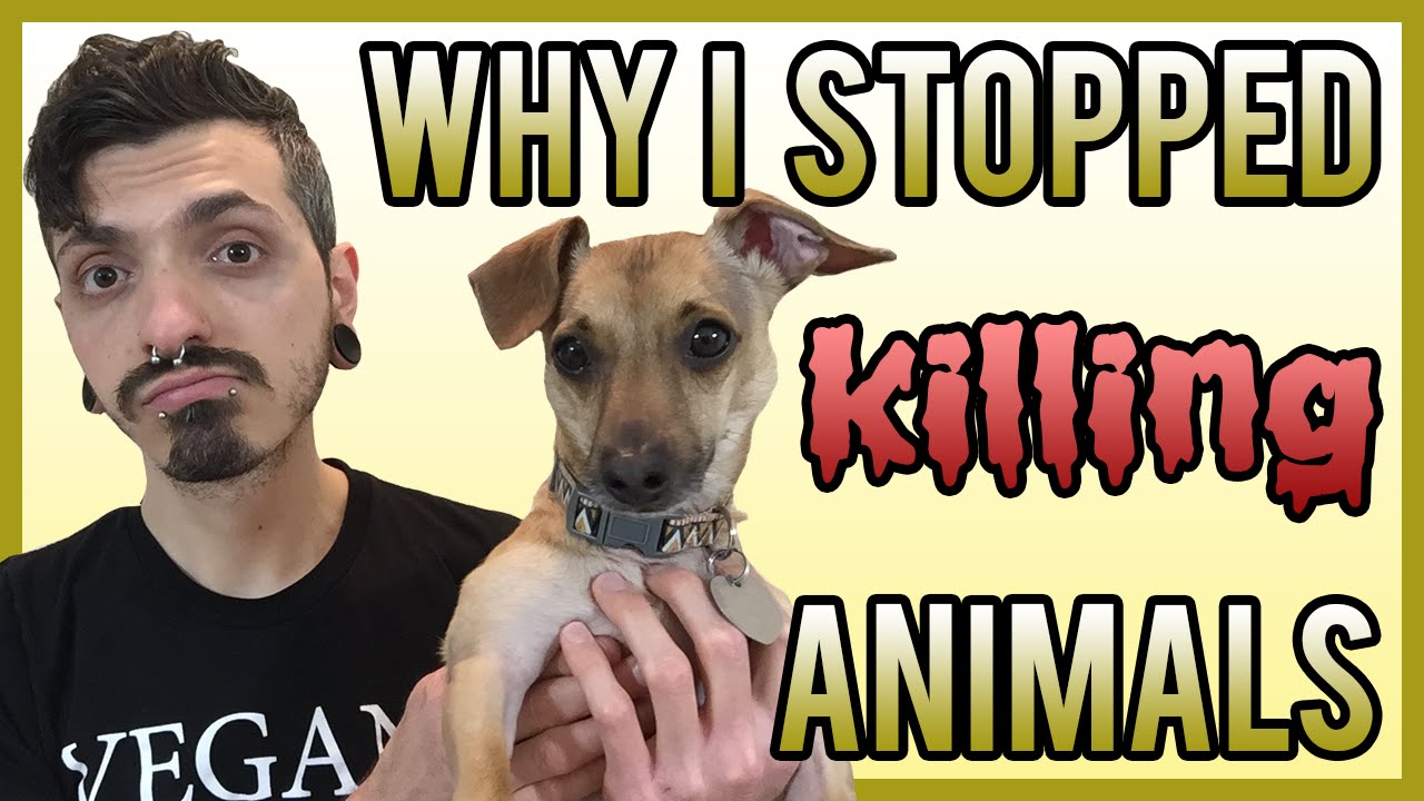 Why I Stopped Killing Animals - YouTube