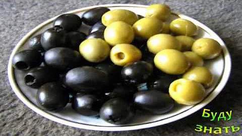 ОЛИВКИ и МАСЛИНЫ растут на одном дереве?