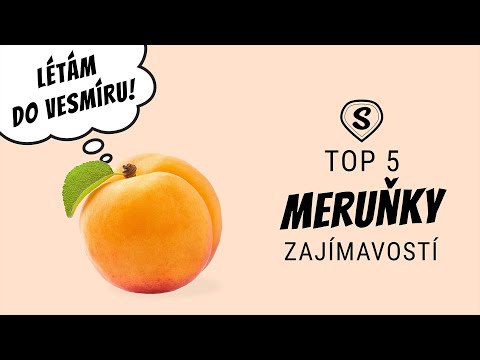 Video: Proč Jsou Meruňky Užitečné?