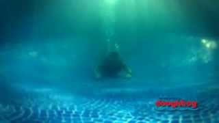 Can I Have A Deep Swimming Area In My Doughboy Pool?