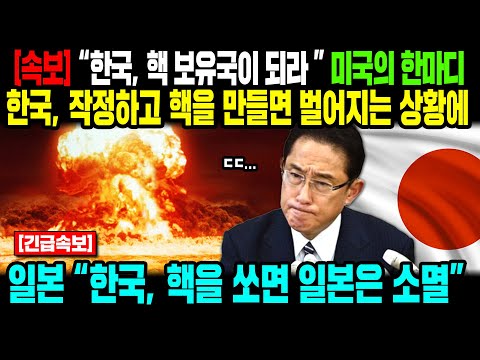 [해외반응] 한국만 단독 핵무장 가능 <strong>미국에서</strong> 나온 청천벽력 소식에 크게 당황하는 <strong>일본</strong> 상황 일본은 왜 안되나 했는데...