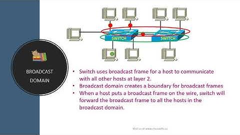 Collision Domain and Broadcast Domain
