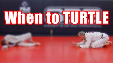 Turtle Is Great - When you should USE It?