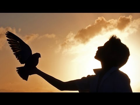 BEHAVIOR (Conducta) - Trailer with English Subtitles