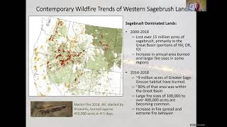 10 A Scientific Perspective on the Present Challenges of Wildfire Management