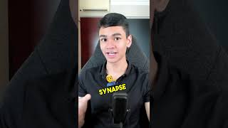 Keywords Explained Synapse Synapsis