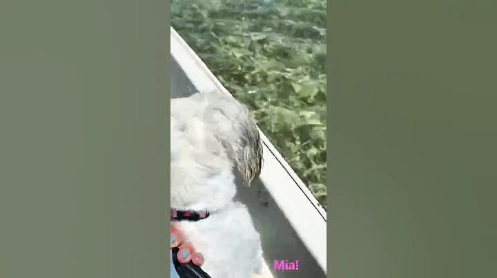 Water Splash with Mia!