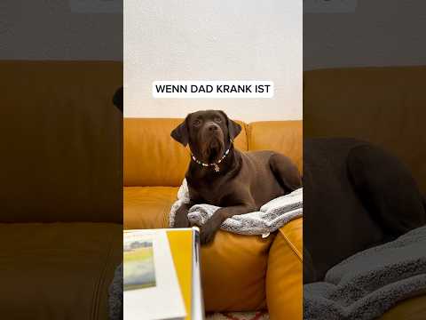 NOTFALL!🚨 Dr. Wuff im Einsatz 🐶