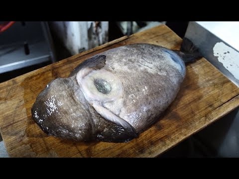 9월제철음식