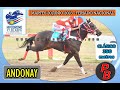 ANDONAY: HIPODROMO 27 DE ABRIL - SANTIAGO DEL ESTERO (20-06-2023)