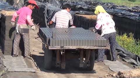 Automatic cutting and loading system