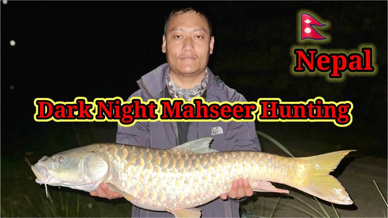 Golden Mahseer //Using Rapala and Rod Fishing in stream River of Aadhikhola River of NEPAL