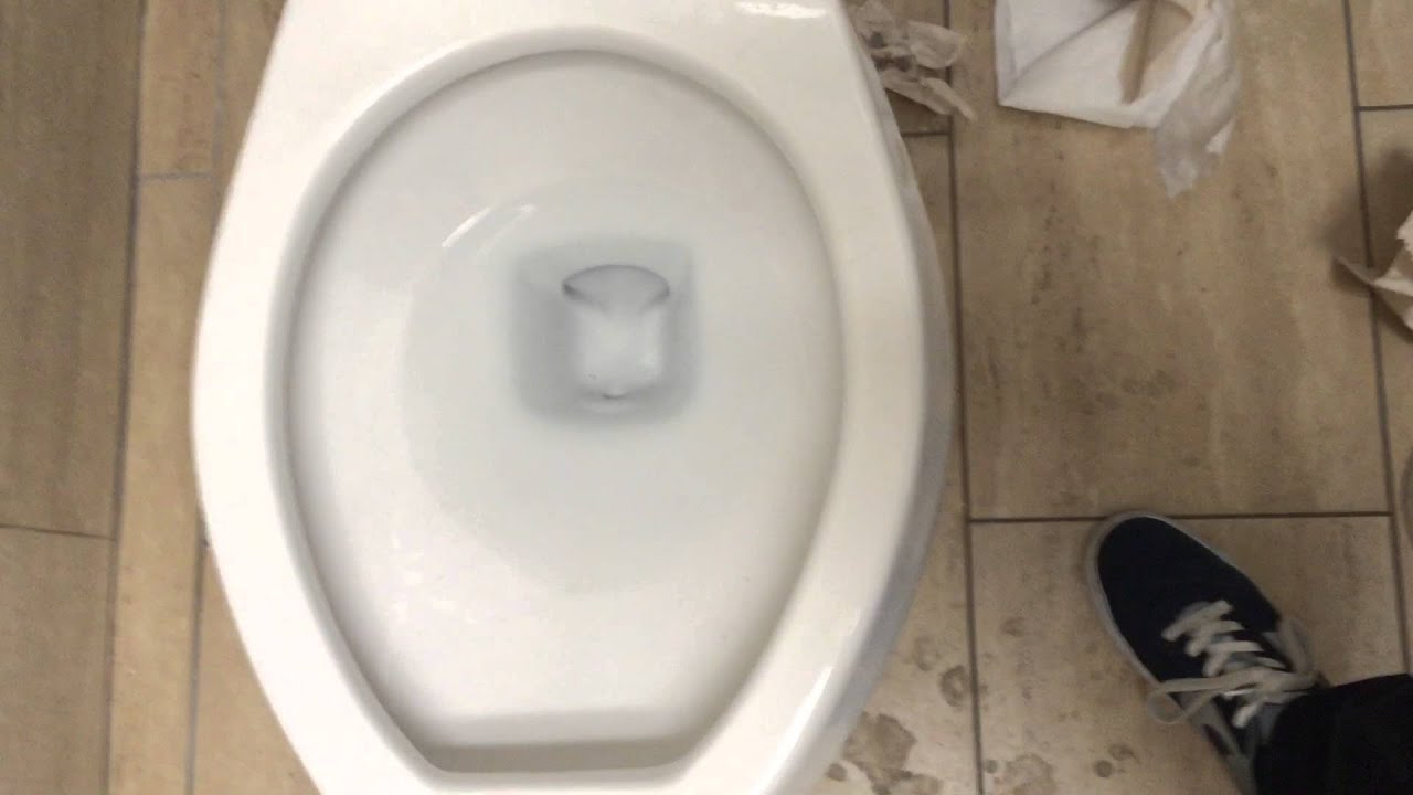 175. Family bathroom with gurgling Crane toilet YouTube