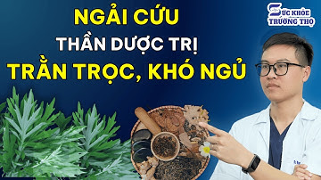 Cách Người Nhật Dùng Ngải Cứu Để Trị Chứng Khó Ngủ Do Căng Thẳng Thần Kinh