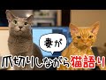 猫の爪切りをしながら妻が我が家の猫について熱弁！ロシアンブルーとデボンレックス【週末キッチン 番外編】