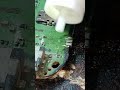 Nokia 1280 Nokia Mobilerepairing Charging Nokia 1280 Nokia Mobilerepairing Charging