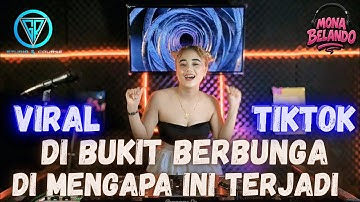 DUGEM NONSTOP TERBARU DJ BUKIT BERBUNGA x DJ MENGAPA INI TERJADI VIRAL NEW 💃✈️