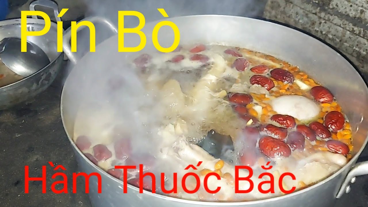 Vũ Trần TV ..Pín Bò Hầm Thuốc Bắc - Món Ngon Bổ Dưỡng /Săn bắt Hậu ...