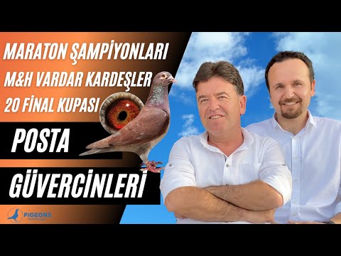 Şampiyon Vardar Kardeşler Posta Güvercin Belgeseli