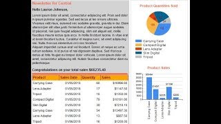 SSRS - Create Free Form or Newsletter Report