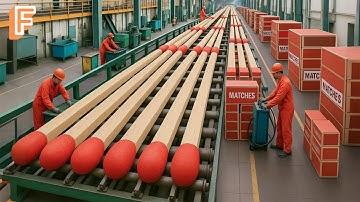 How Billions Of Matches Are Made Every Year In Massive Matchstick Production Factory
