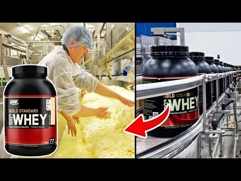 How WHEY PROTEIN is Made In Factories | You Won't Want to Miss This!