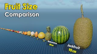 Fruit Size Comparison