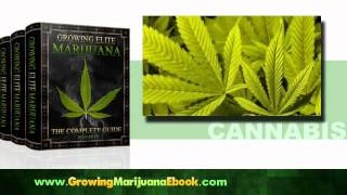 Growing Marijuana Indoors | Outdoors Tips, E-Book Help to Grow