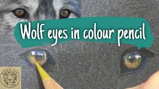 Wolf Tutorial Part One - The Eyes screenshot 3