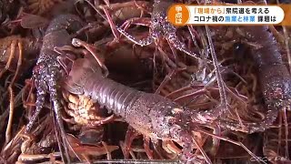 選挙の現場から　コロナ禍の漁業者・林業従事者の思いは (21/10/21 18:50)