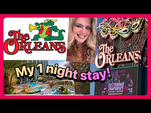 Bingo Frenzy Stampede Shark Winstar Aug 2025