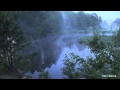 Рассвет. Река. Туман. Природа. Пение птиц. Релакс. Медитация. Утро.