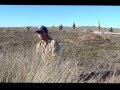 Pulling Grass to Save an Endangered Bird